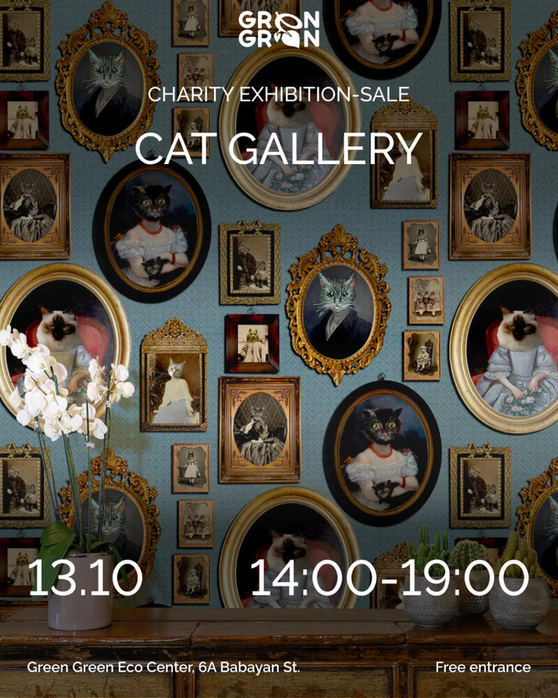 Cat Gallery