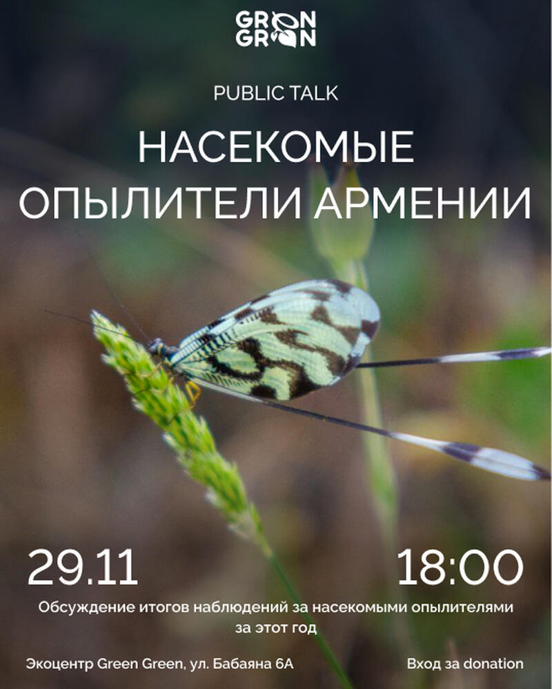 Public Talk "Insects - Pollinators of Armenia"