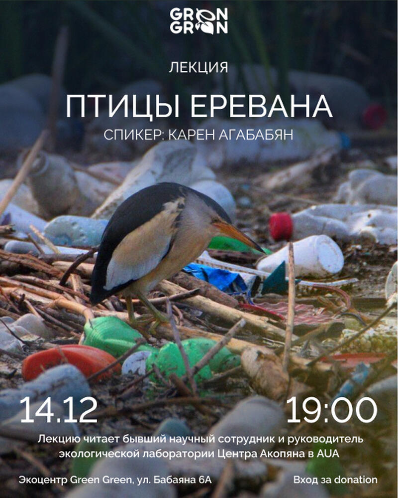 Lecture: "Birds of Yerevan"