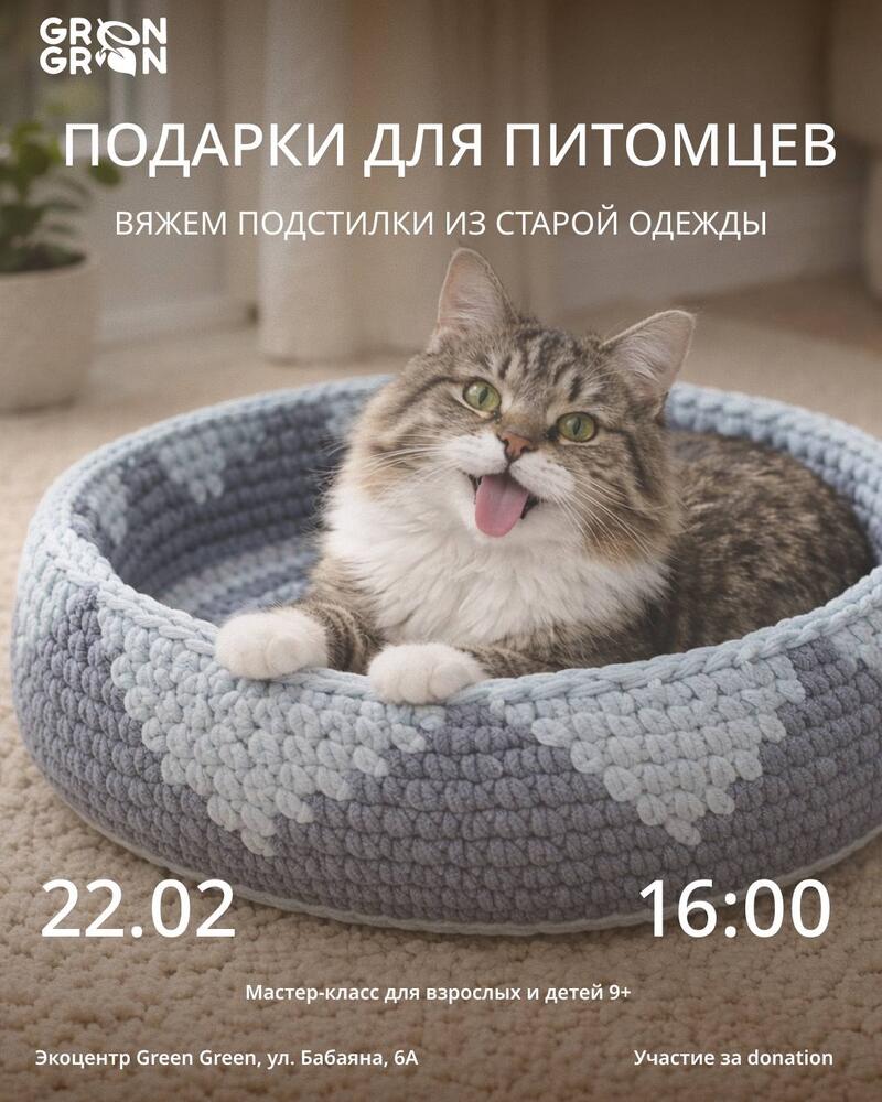 Мастер-класс. Подарки для питомцев