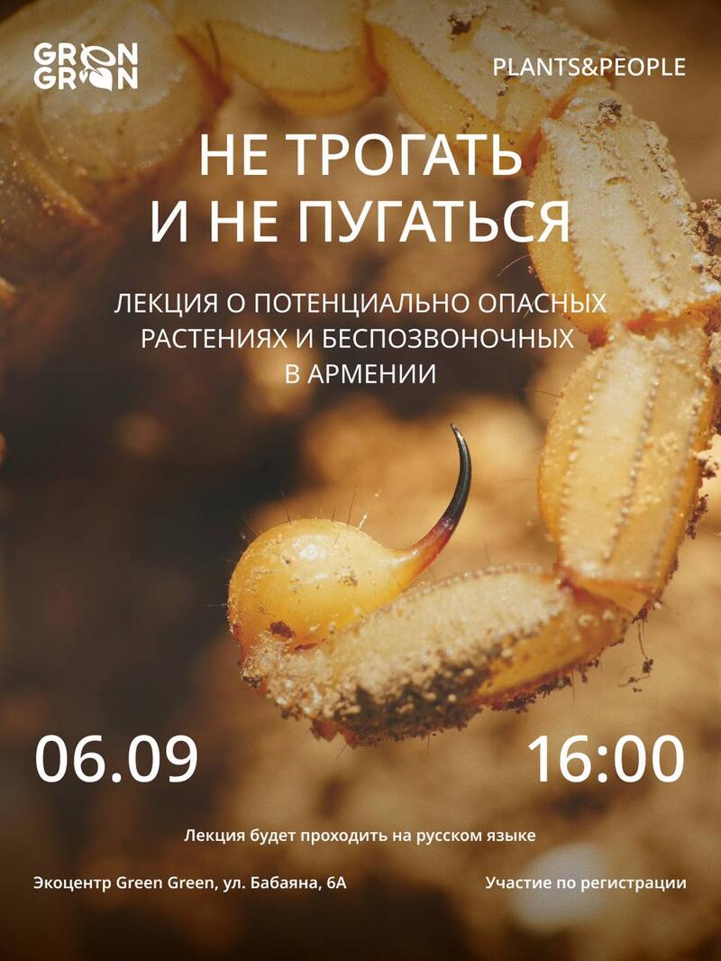 Лекция «Не трогать и не пугаться»