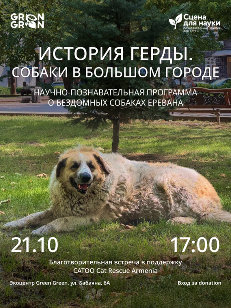 История Герды. Собаки в большом городе