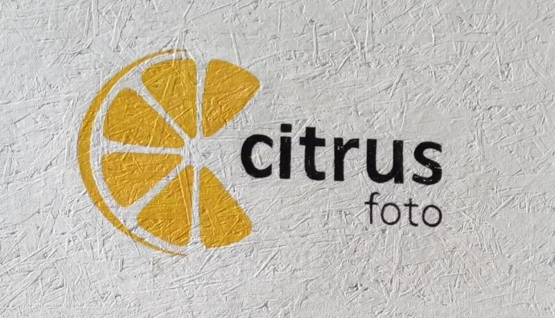 Citrusfoto